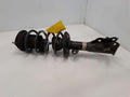2012 Honda Civic Strut Assembly