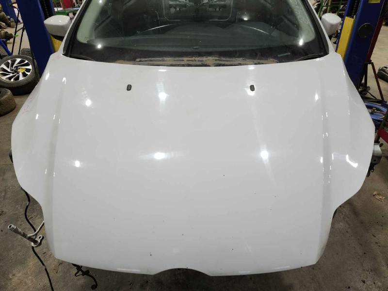 2012 Ford Focus Hood