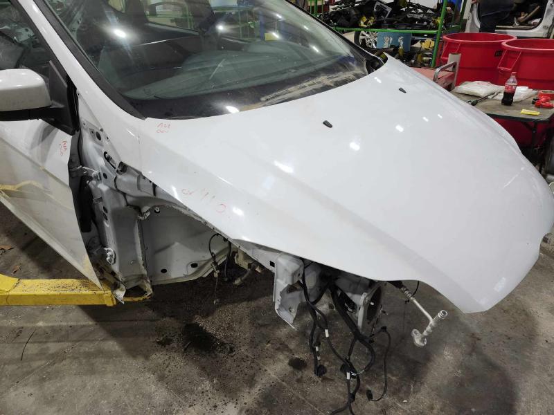 2012 Ford Focus Hood