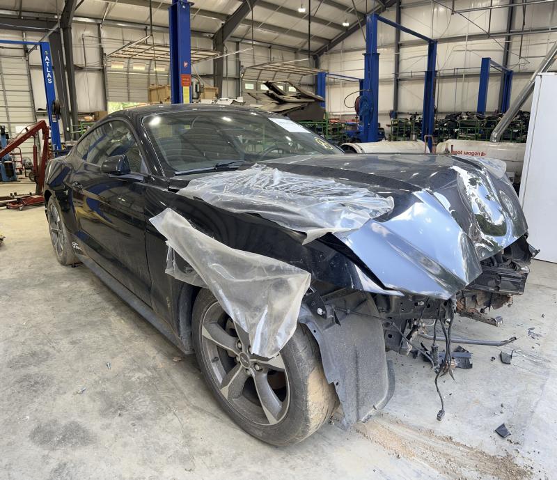 2016 Ford Mustang Back Glass/Window
