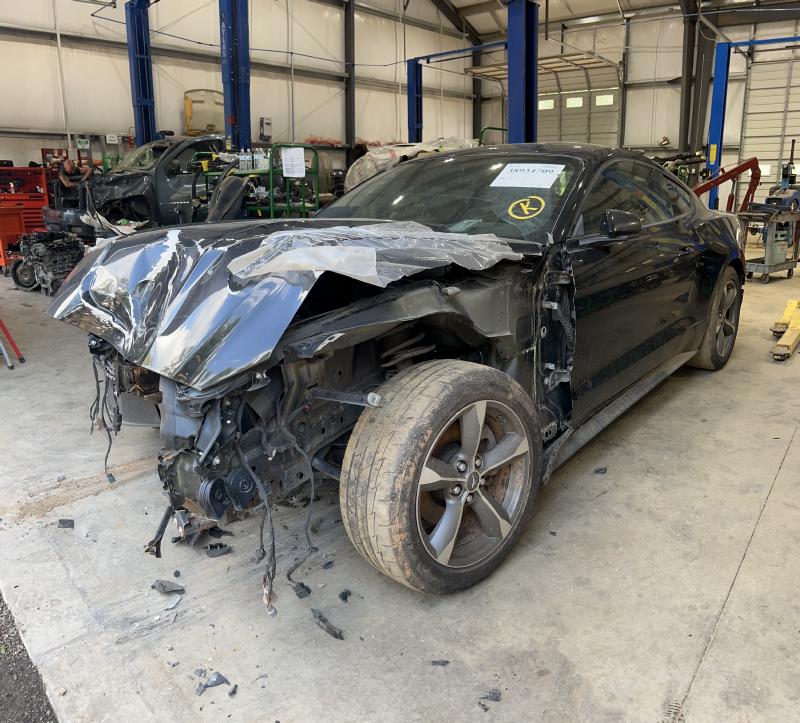 2016 Ford Mustang Back Glass/Window