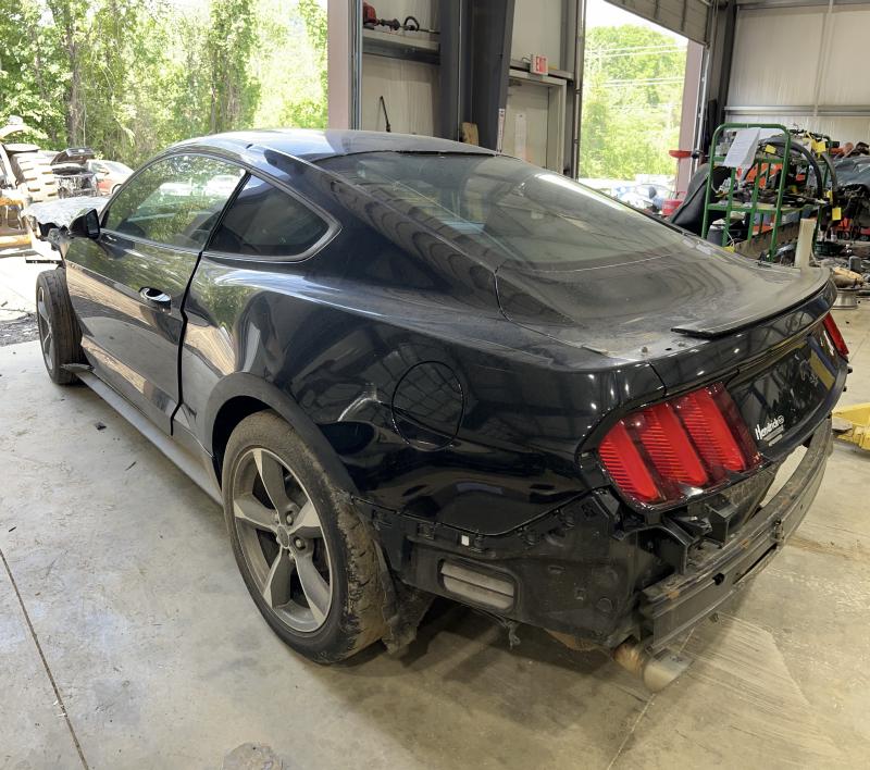 2016 Ford Mustang Back Glass/Window