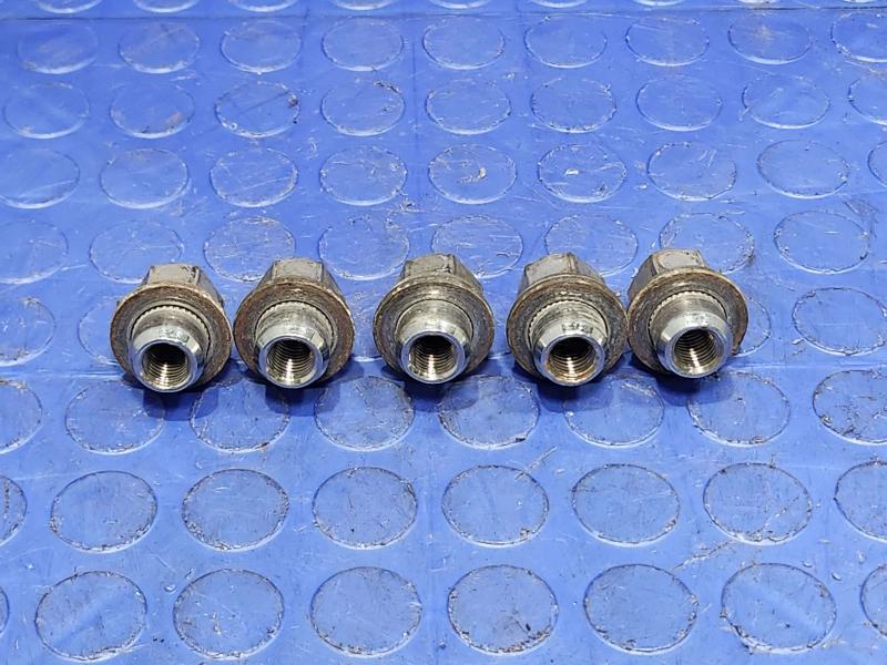 2013 Toyota Prius Lug Nuts