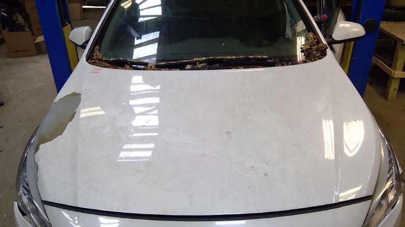 2016 Hyundai Sonata Hood