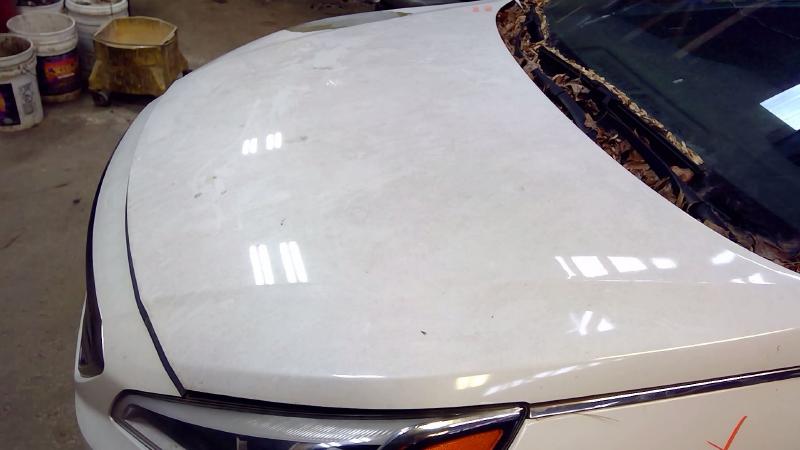 2016 Hyundai Sonata Hood