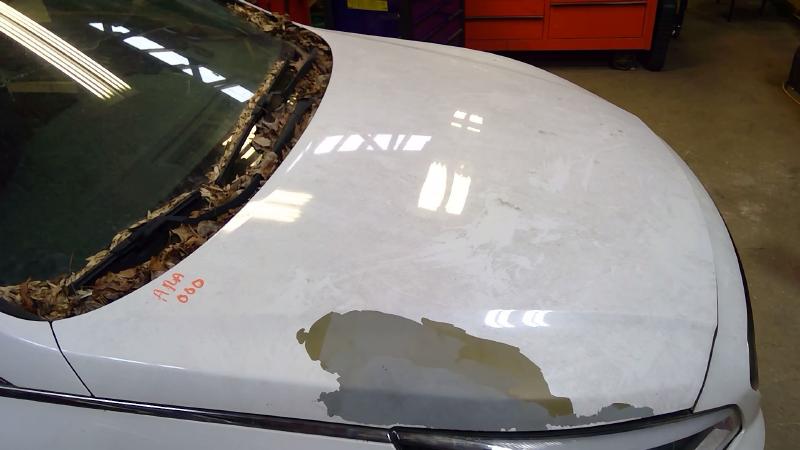 2016 Hyundai Sonata Hood