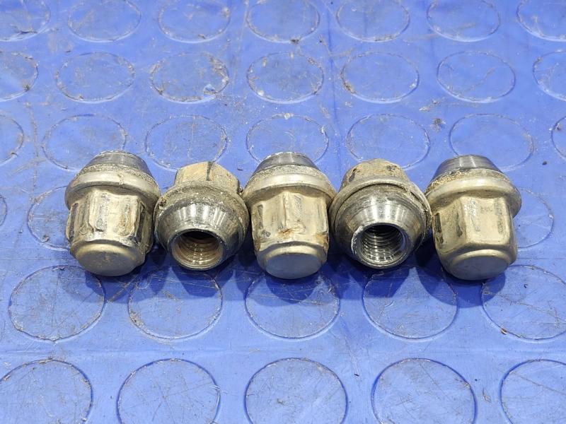 2017 Ford Focus Lug Nuts