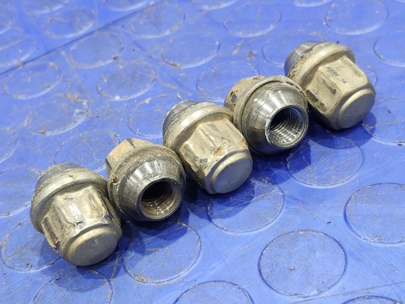 2017 Ford Focus Lug Nuts
