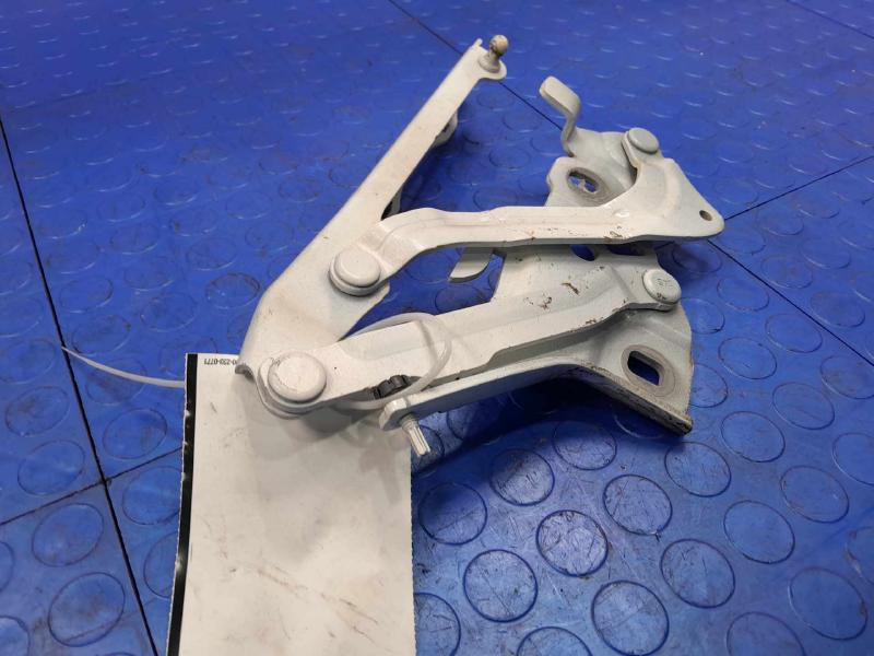 2018 Audi A4 Hood Hinge