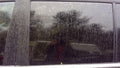 2010 Buick Enclave Rear Door Glass/Window
