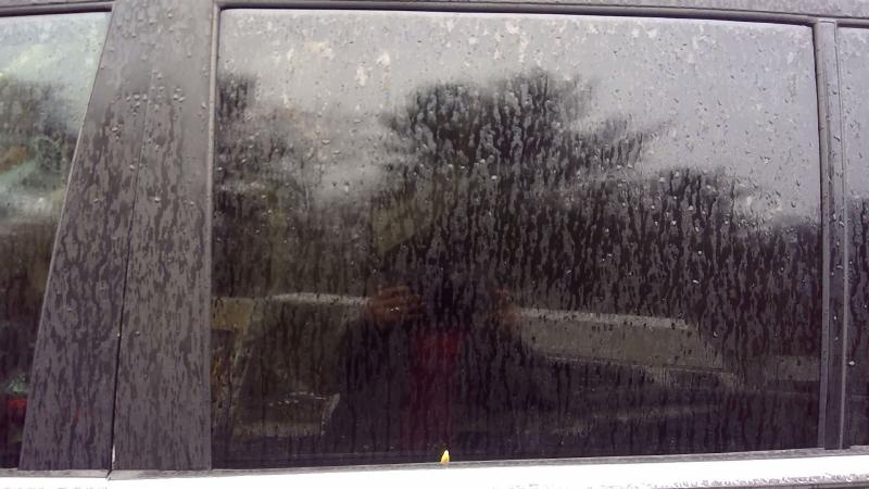 2010 Buick Enclave Rear Door Glass/Window