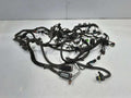2014 Chevrolet Caprice Wire Harness (Engine)