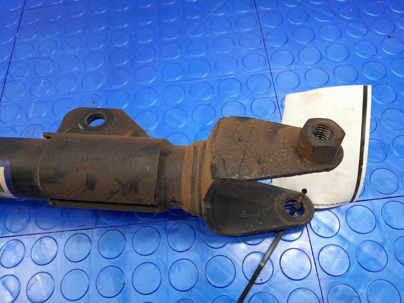 2022 Dodge Charger Strut Assembly