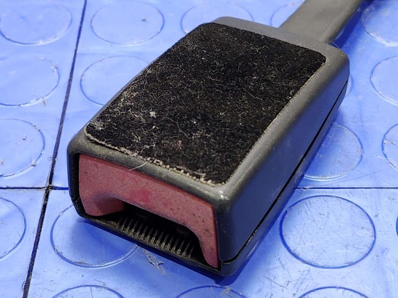 2016 Ford Escape Front Seat Belt