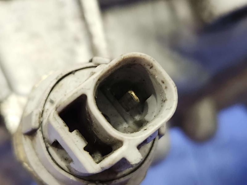 2011 Toyota Prius Timing Cover