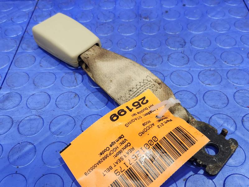 2009 Honda Accord Rear Seat Belt