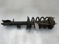 2009 Ford Escape Strut Assembly