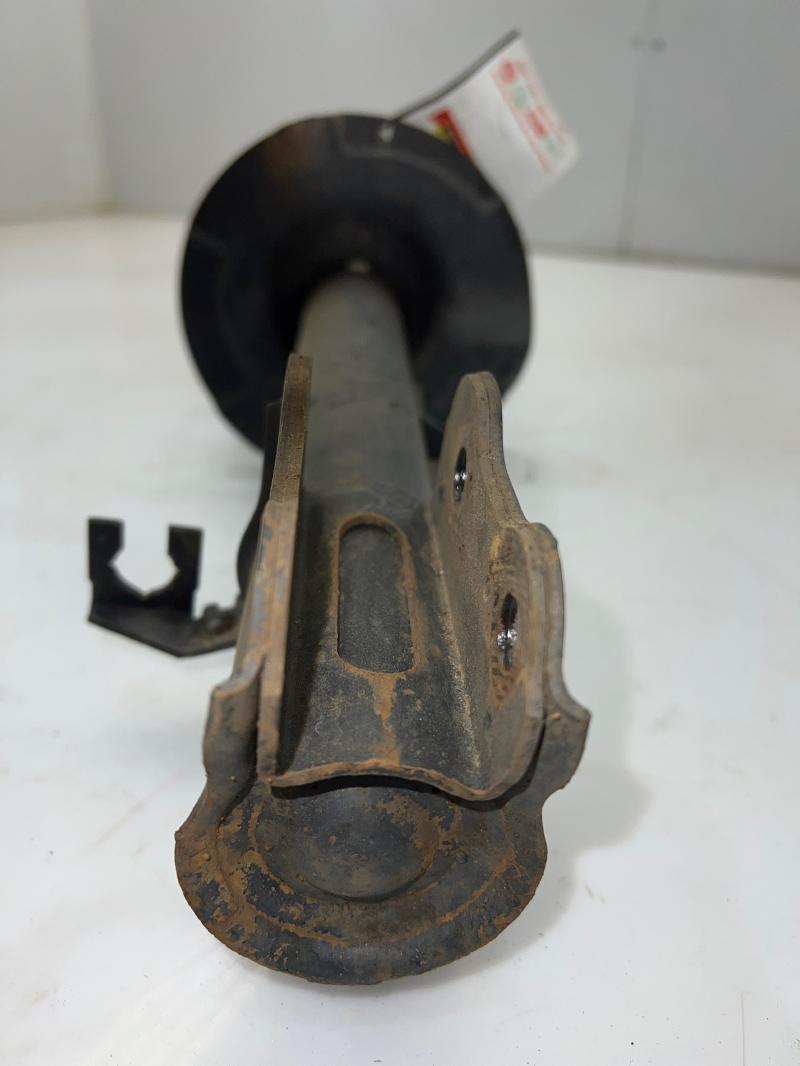 2009 Ford Escape Strut Assembly
