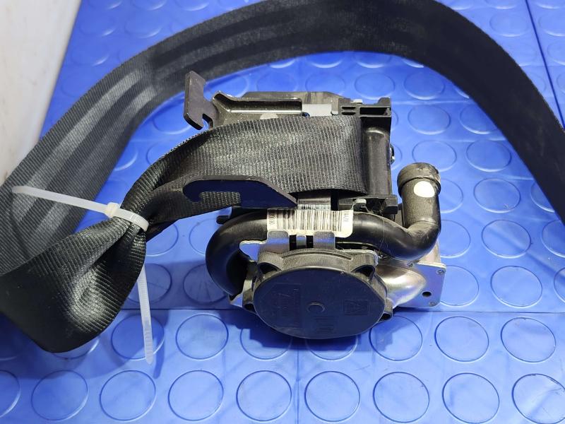 2020 Ford Escape Rear Seat Belt