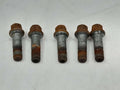 2008 Mercedes ML-Class Lug Nuts