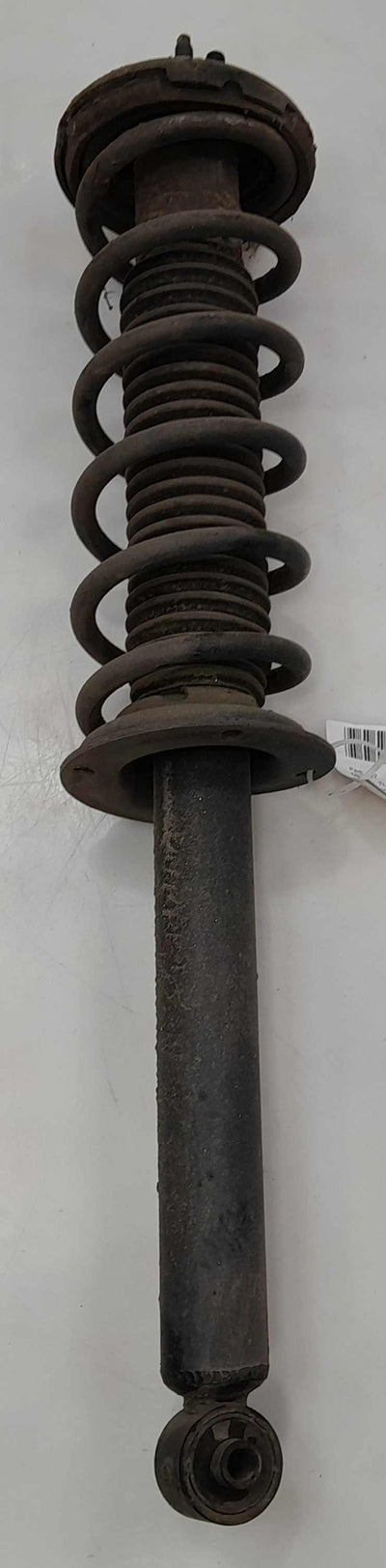 2006 Acura TL Strut Assembly