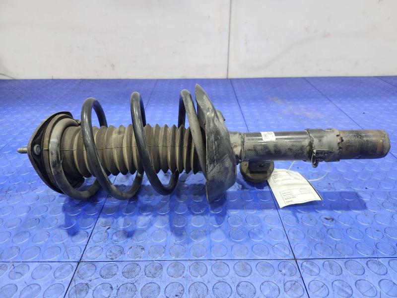 2015 Acura TLX Strut Assembly