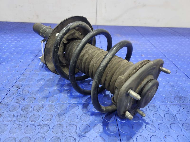 2015 Acura TLX Strut Assembly