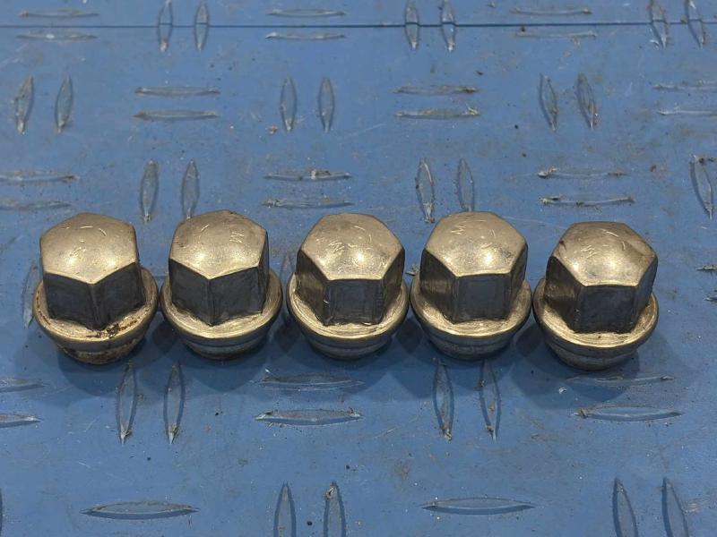 2020 Dodge Charger Lug Nuts
