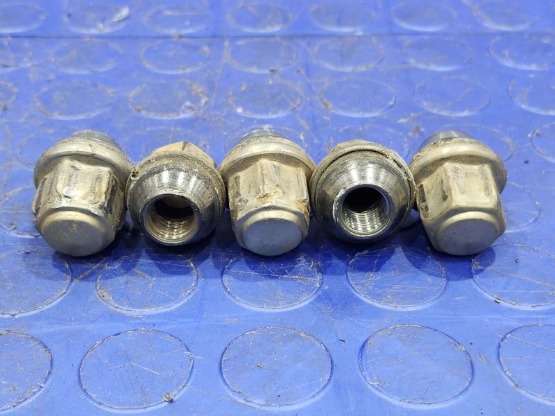 2017 Ford Focus Lug Nuts