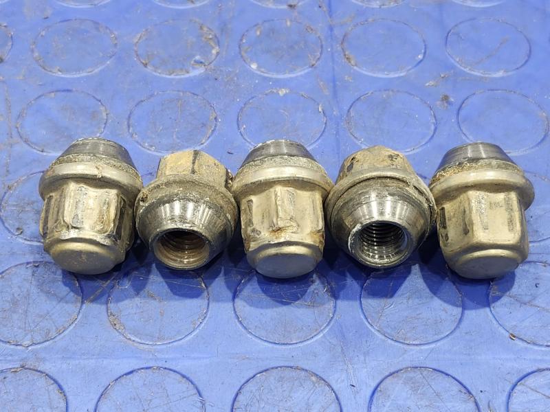 2017 Ford Focus Lug Nuts