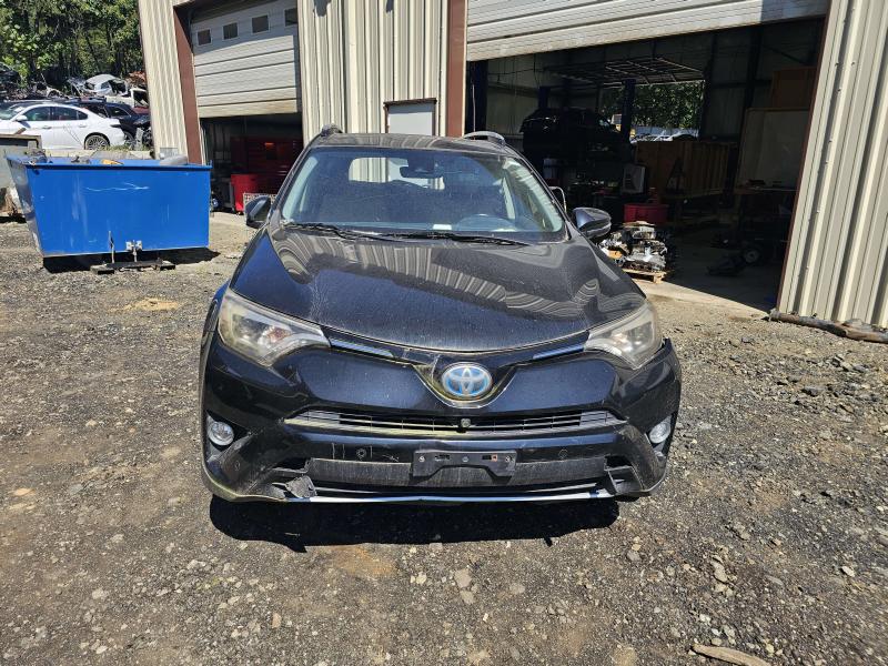 2016 Toyota RAV4 Wheel Opening Moulding
