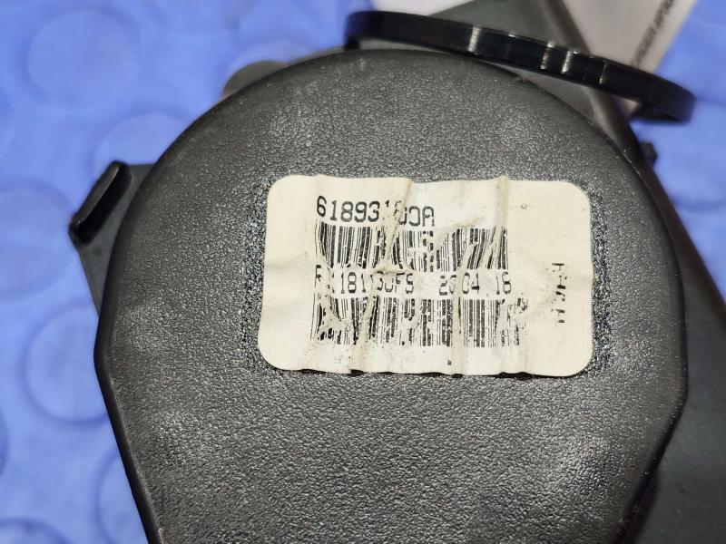 2018 Volkswagen Passat Rear Seat Belt