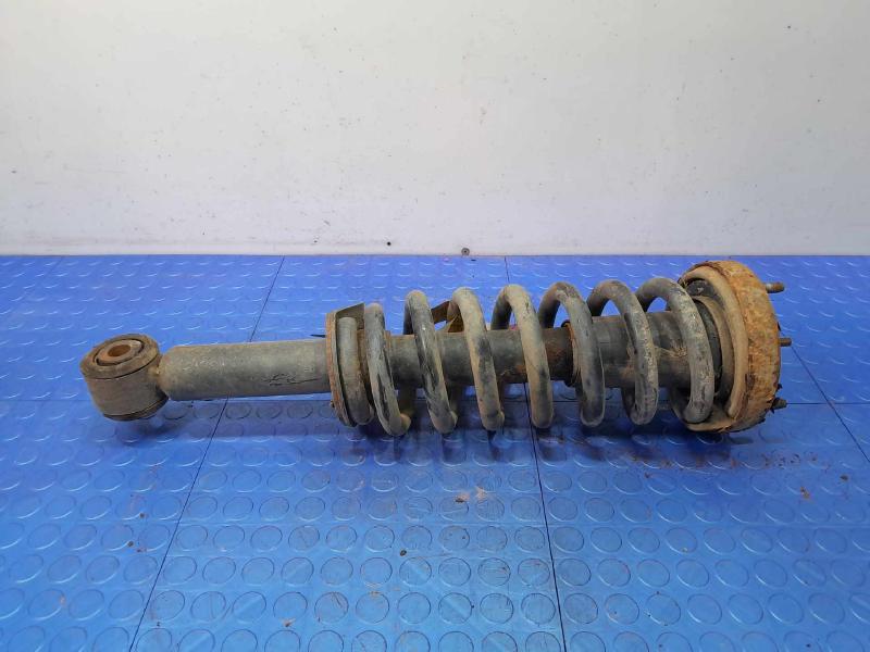 2013 Ford F-150 Strut Assembly