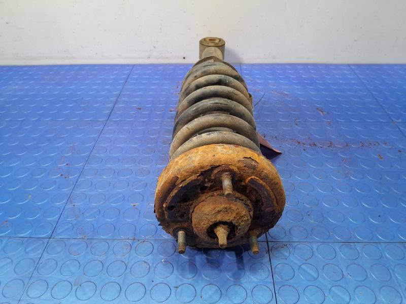 2013 Ford F-150 Strut Assembly