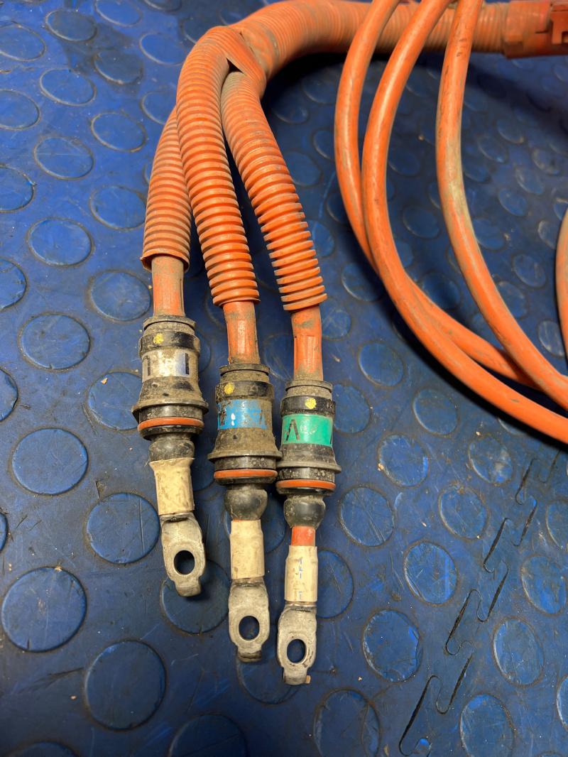 2005 Honda Civic Wire Harness (Body)
