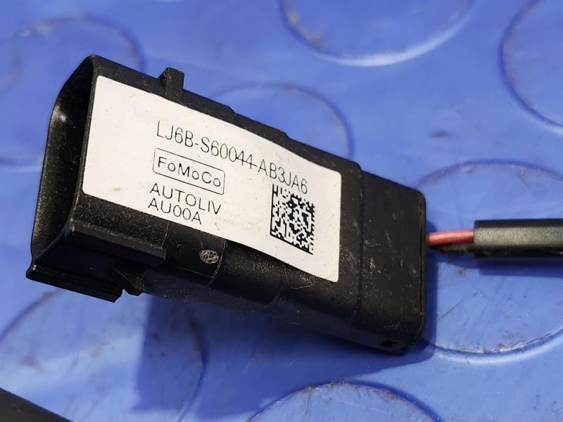 2020 Ford Escape Rear Seat Belt