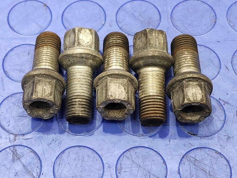 2009 Volkswagen Tiguan Lug Nuts