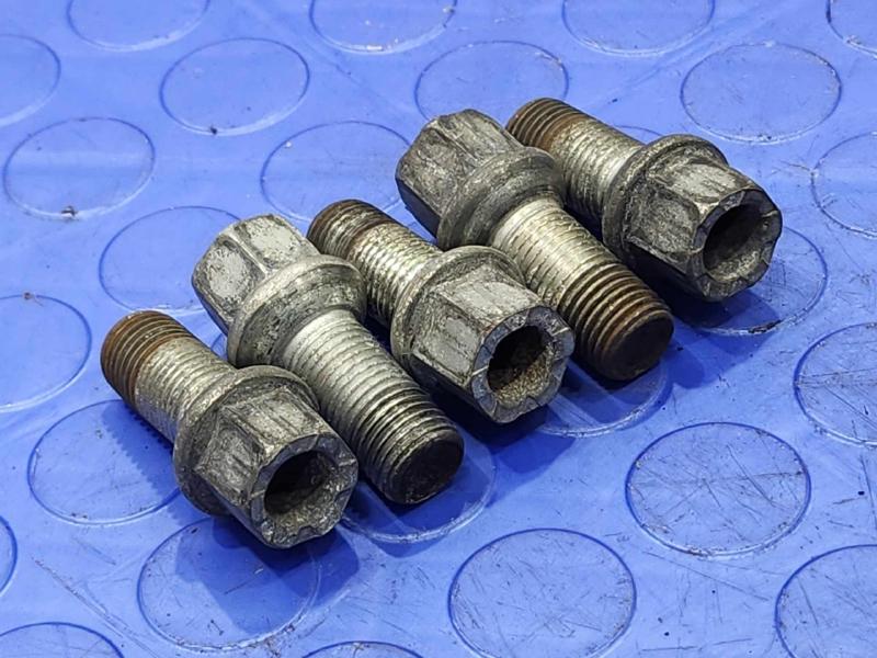 2009 Volkswagen Tiguan Lug Nuts