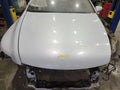 2008 Lexus LS 460 Hood