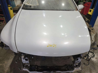 2008 Lexus LS 460 Hood