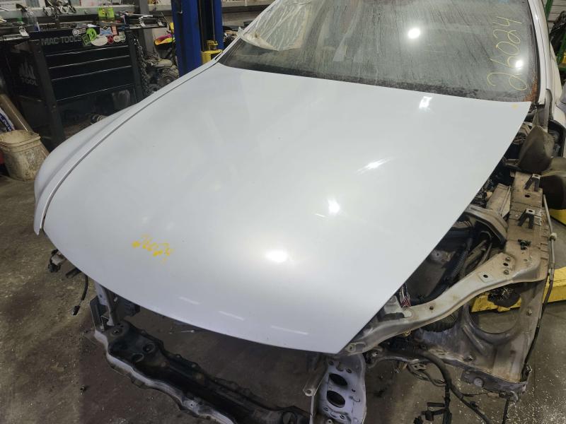 2008 Lexus LS 460 Hood