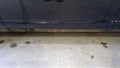 2007 Audi S6 Front Door Moulding