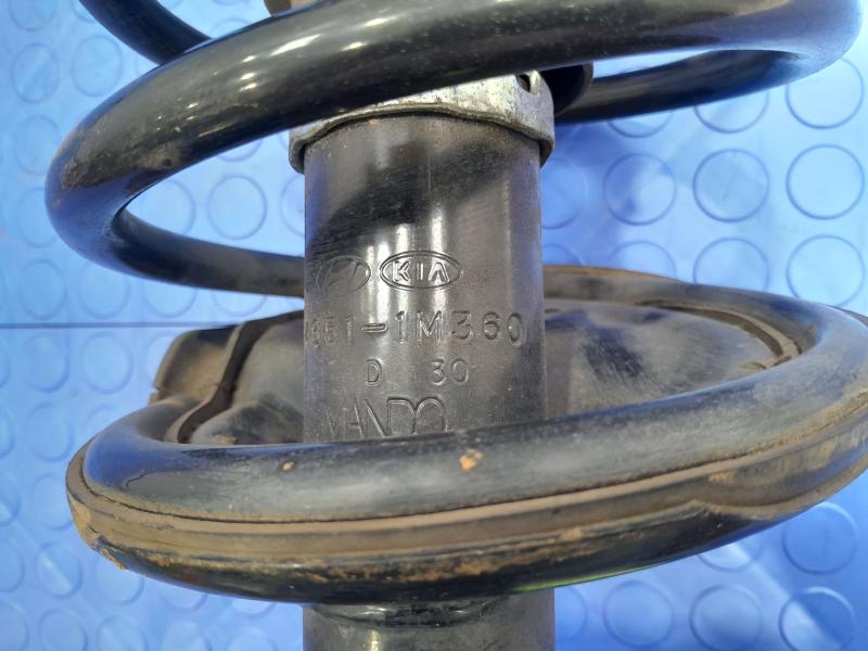2010-2013 Kia Forte Front Strut Assembly LH Driver Side OEM 546511M360