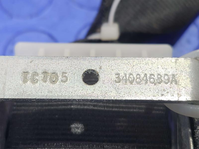 2016 Volkswagen Jetta Rear Seat Belt