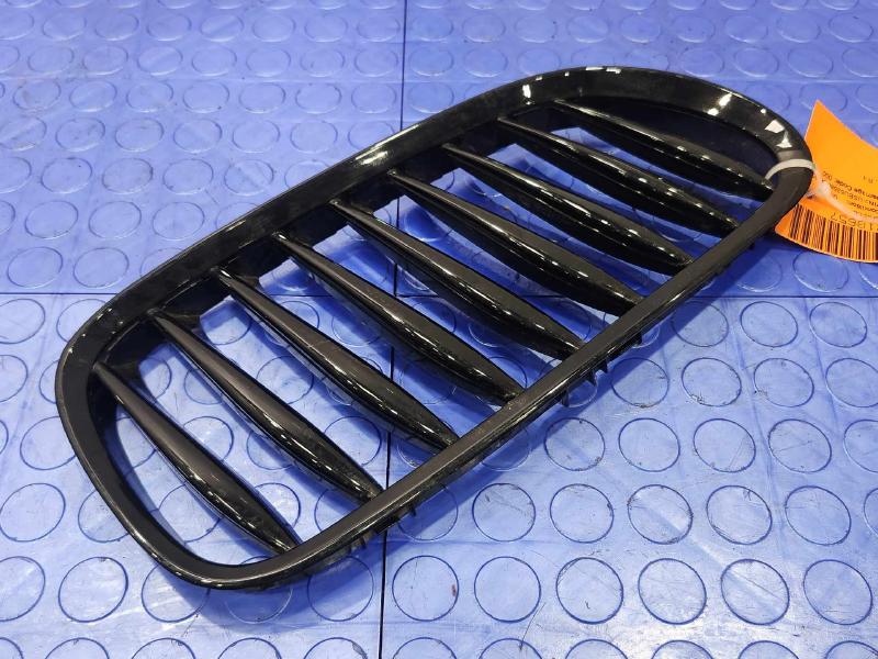 2006 BMW Z4 Grille