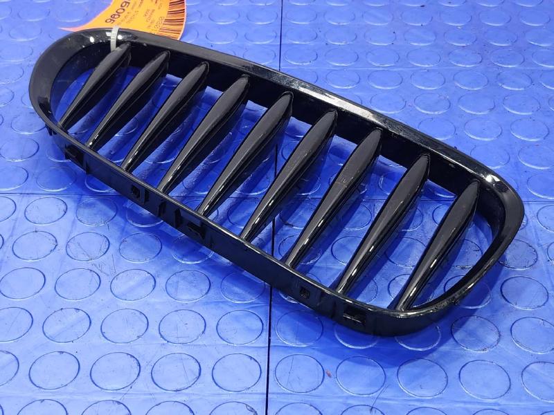 2006 BMW Z4 Grille