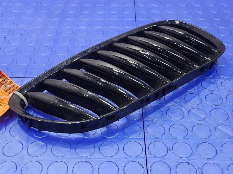 2006 BMW Z4 Grille