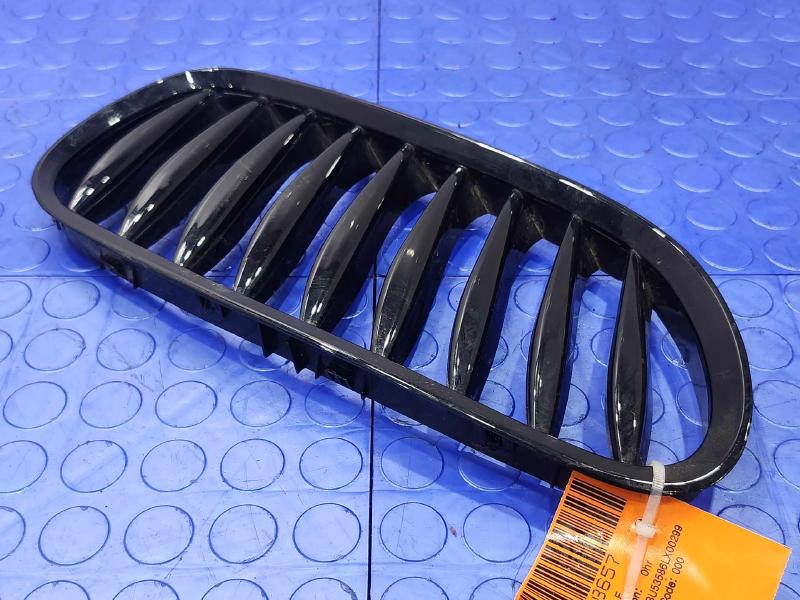 2006 BMW Z4 Grille