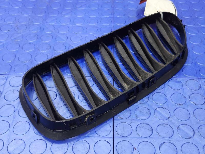 2006 BMW Z4 Grille