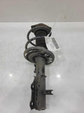 2017 Chevrolet Malibu Strut Assembly